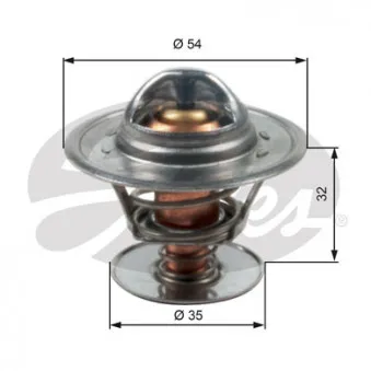 Thermostat d'eau GATES TH13684G1