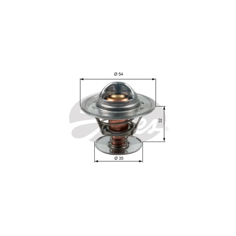 Thermostat d'eau GATES TH13684G1