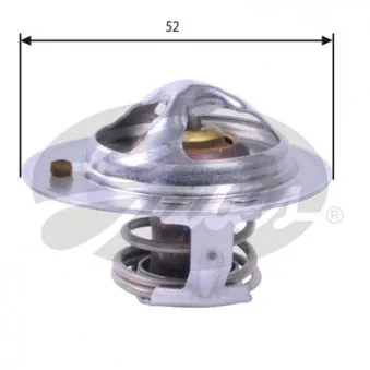 Thermostat d'eau GATES TH24485G1