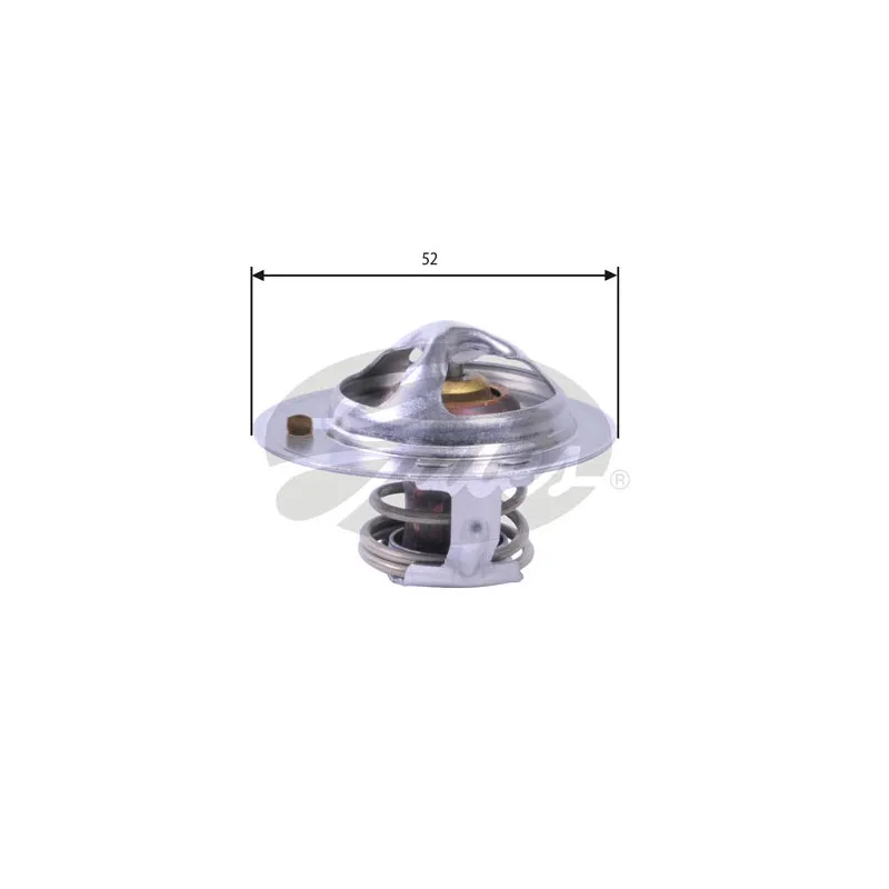 Thermostat d'eau GATES TH24485G1
