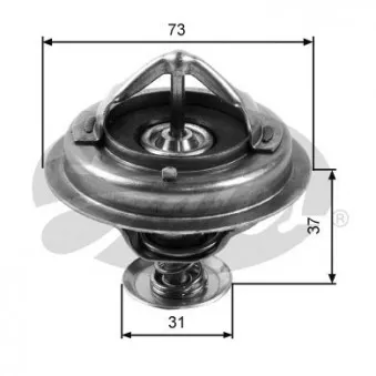 Thermostat d'eau GATES TH24588G1