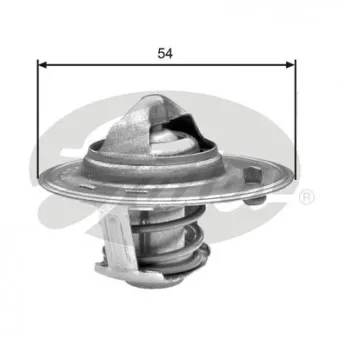 Thermostat d'eau GATES TH25982G1