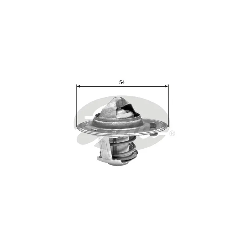 Thermostat d'eau GATES TH25982G1