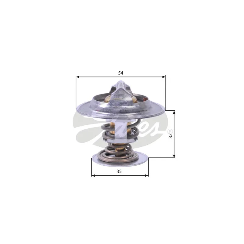 Thermostat d'eau GATES TH26590G1