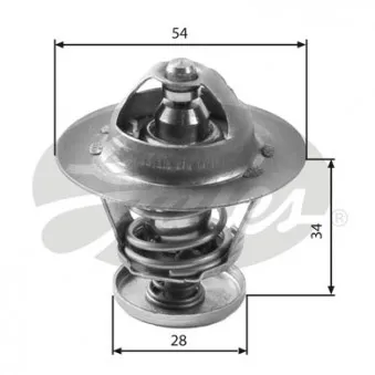 Thermostat d'eau GATES TH26988G1