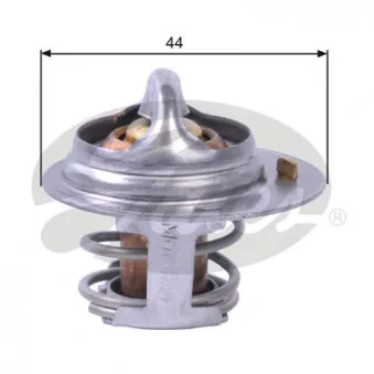 Thermostat d'eau GATES TH29682G1