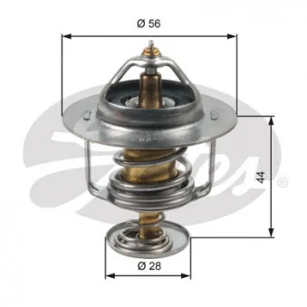 Thermostat d'eau GATES TH30282G1