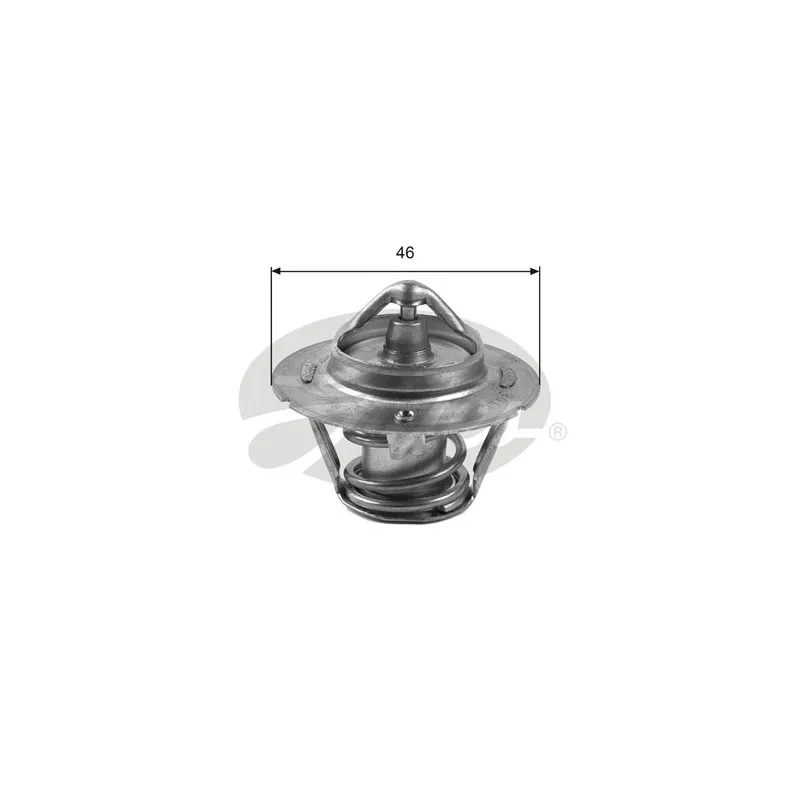 Thermostat d'eau GATES TH30491G1