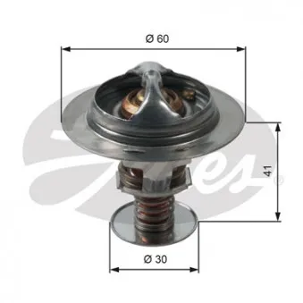 Thermostat d'eau GATES TH34882G1