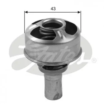 Thermostat d'eau GATES TH36075