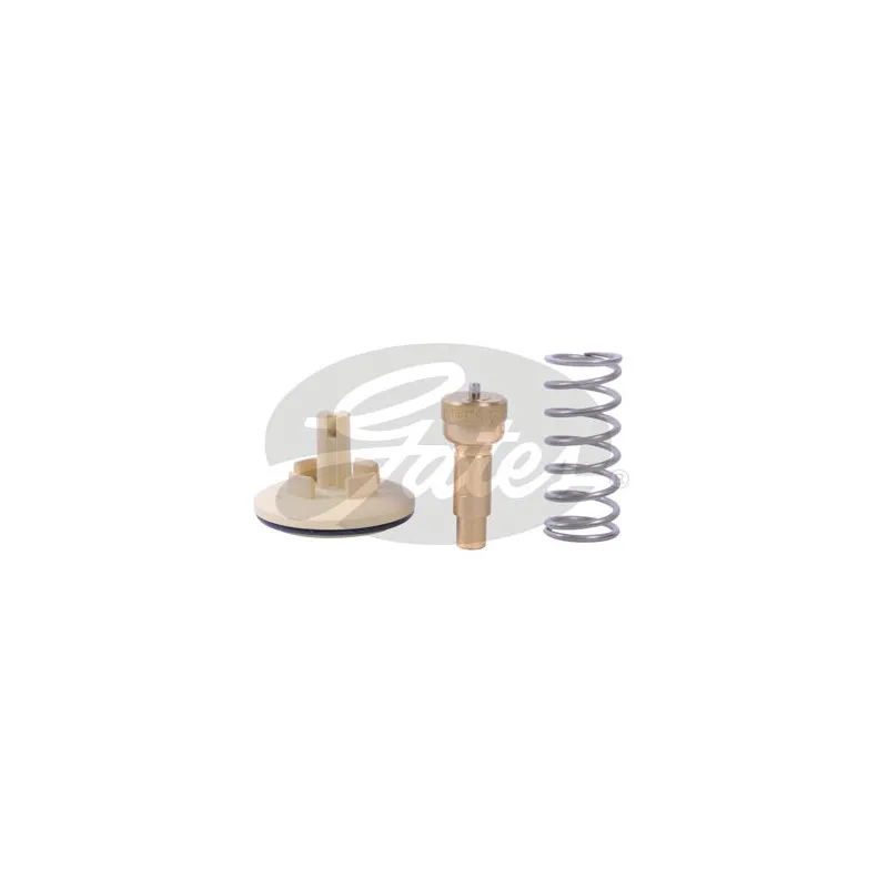 Thermostat d'eau GATES TH41887G1