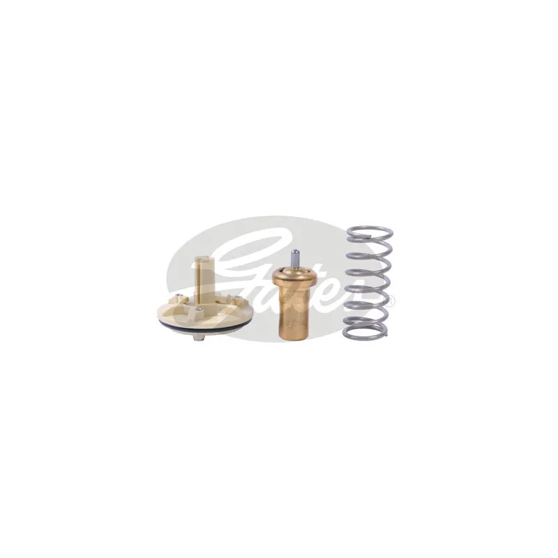 Thermostat d'eau GATES TH42380G1