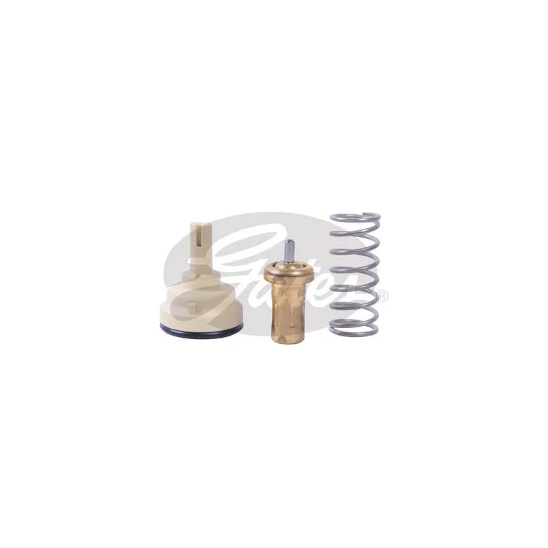 Thermostat d'eau GATES TH42695G1