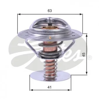 Thermostat d'eau GATES TH43080