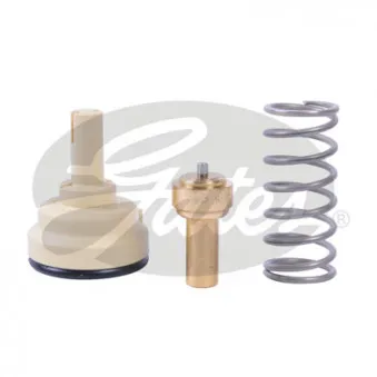 Thermostat d'eau GATES TH435105G1