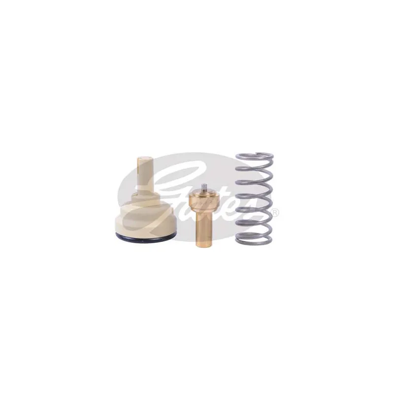 Thermostat d'eau GATES TH43587G1