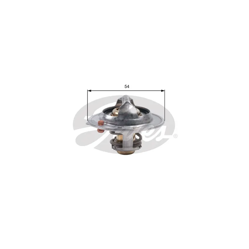 Thermostat d'eau GATES TH45390G1