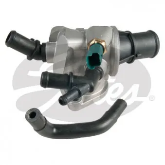 Thermostat d'eau GATES TH48588G1