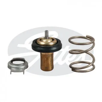 Thermostat d'eau GATES TH49288G1