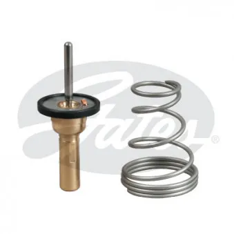 Thermostat d'eau GATES