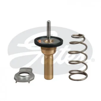 Thermostat d'eau GATES TH49990G1