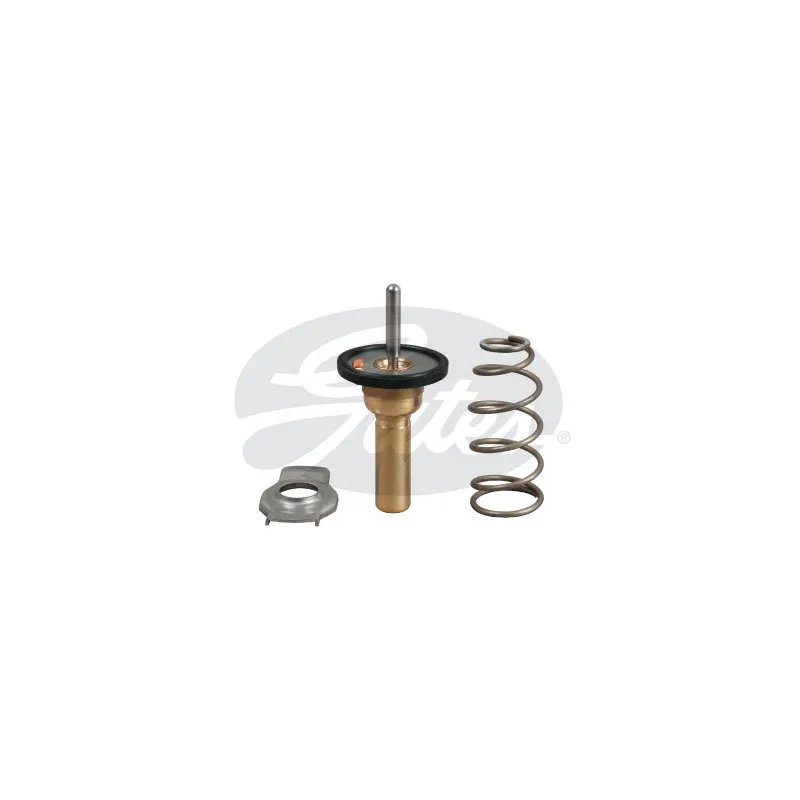 Thermostat d'eau GATES TH49990G1