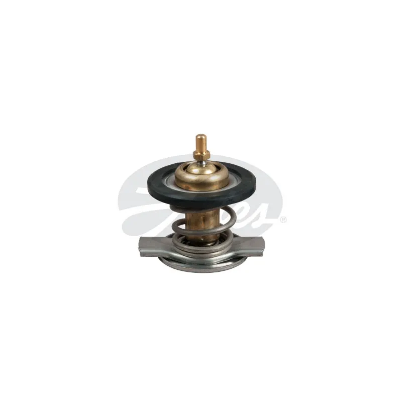 Thermostat d'eau GATES TH50187G1