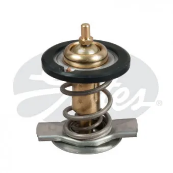 Thermostat d'eau GATES TH50392G1