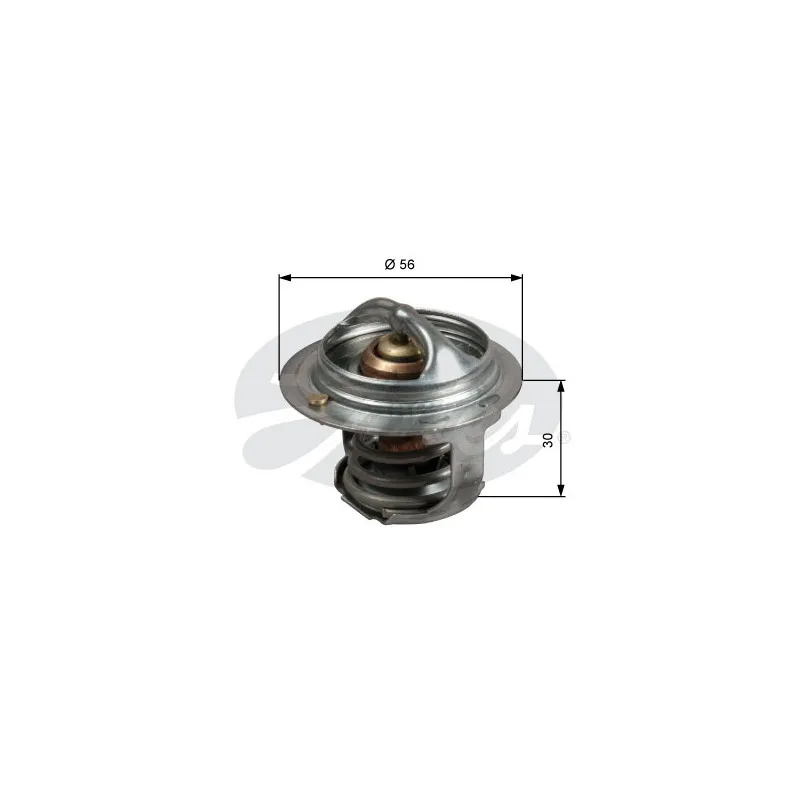 Thermostat d'eau GATES TH50482G1