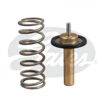 Thermostat d'eau GATES TH51690G1
