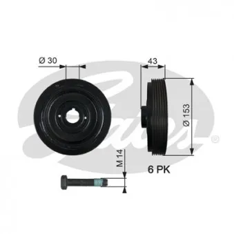 Poulie, vilebrequin GATES TVD1005A