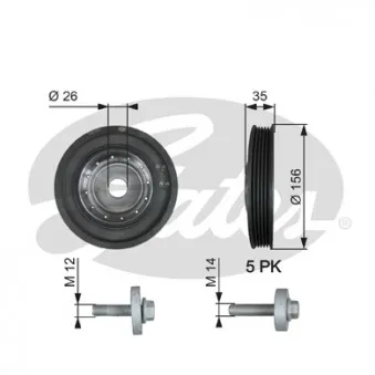 Poulie, vilebrequin GATES TVD1007A