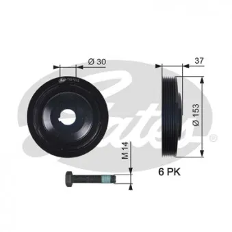 Poulie, vilebrequin GATES TVD1035A