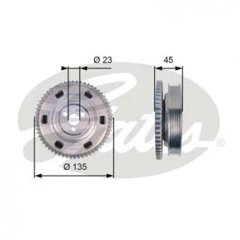 Poulie, vilebrequin GATES TVD1069