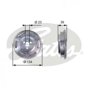 Poulie, vilebrequin GATES TVD1071