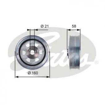 Poulie, vilebrequin GATES TVD1080