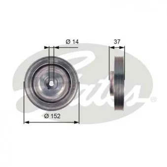 Poulie, vilebrequin GATES TVD1087