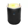 Ressort pneumatique, suspension pneumatique DT 10.26014 - Visuel 1