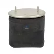 Ressort pneumatique, suspension pneumatique DT 10.36011 - Visuel 1