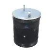 Ressort pneumatique, suspension pneumatique DT 10.36043 - Visuel 1