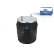 Ressort pneumatique, suspension pneumatique DT 10.46001 - Visuel 1