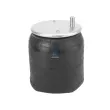 Ressort pneumatique, suspension pneumatique DT 10.56005 - Visuel 1