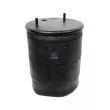 Ressort pneumatique, suspension pneumatique DT 10.66000 - Visuel 1
