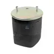 Ressort pneumatique, suspension pneumatique DT 10.66001 - Visuel 1