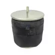 Ressort pneumatique, suspension pneumatique DT 10.66017 - Visuel 1