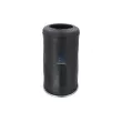 Ressort pneumatique, suspension pneumatique DT 10.66021 - Visuel 3