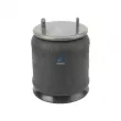 Ressort pneumatique, suspension pneumatique DT 10.96000 - Visuel 1
