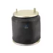 Ressort pneumatique, suspension pneumatique DT 10.96006 - Visuel 1