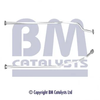 Tuyau d'échappement BM CATALYSTS BM50391