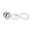 Pompe à eau DT 11.14001 - Visuel 1